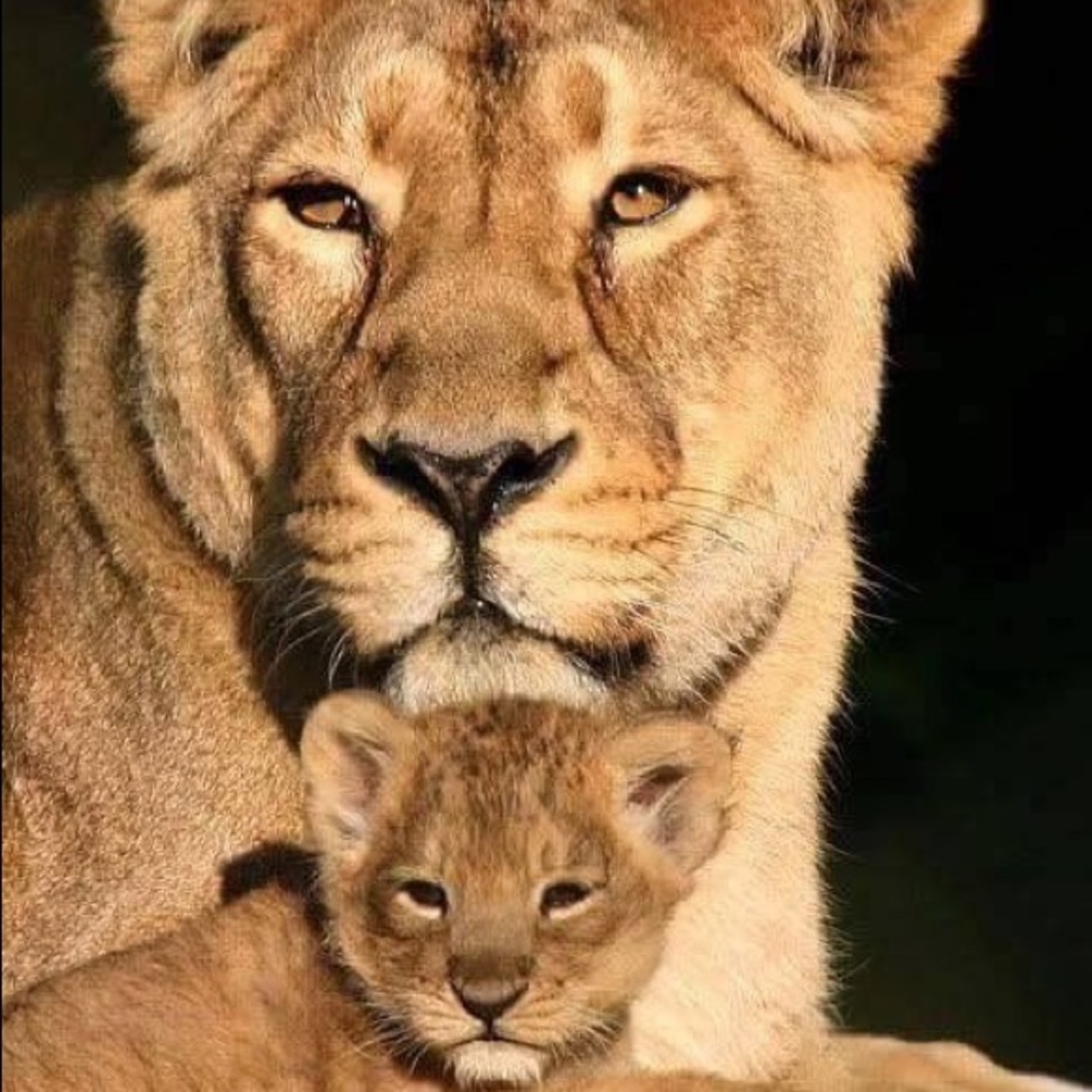 Meet your Posher, Jamey